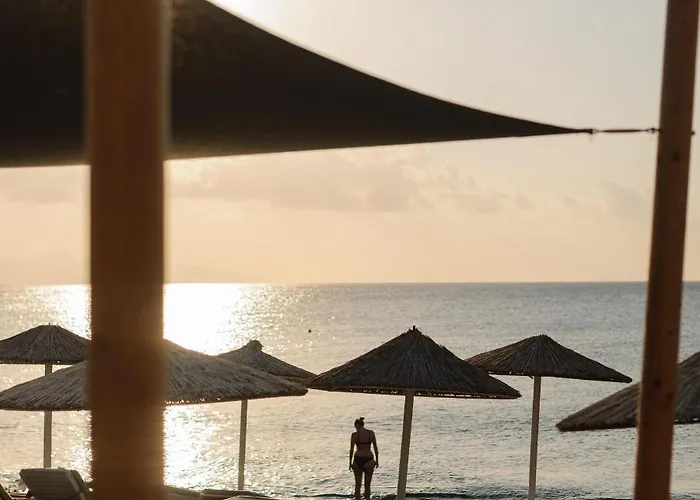 Afroditi Venus Kamári