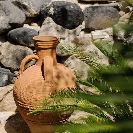 酒店 Afroditi Venus 4*