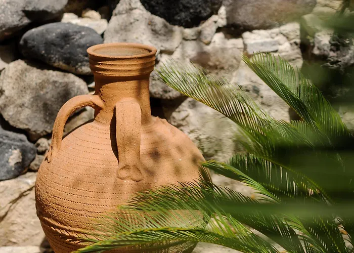 Отель Afroditi Venus 4*