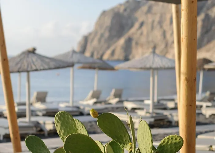 Afroditi Venus Hotel