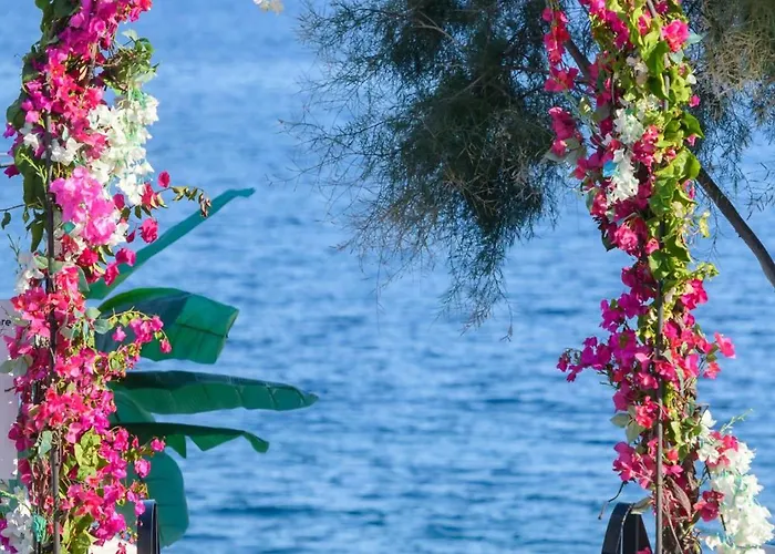 Hotel Afroditi Venus 4*